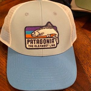 Patagonia The cleanest line trucker hat.